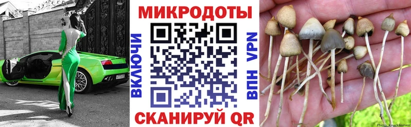 Псилоцибиновые грибы Cubensis  kraken вход  Краснознаменск 