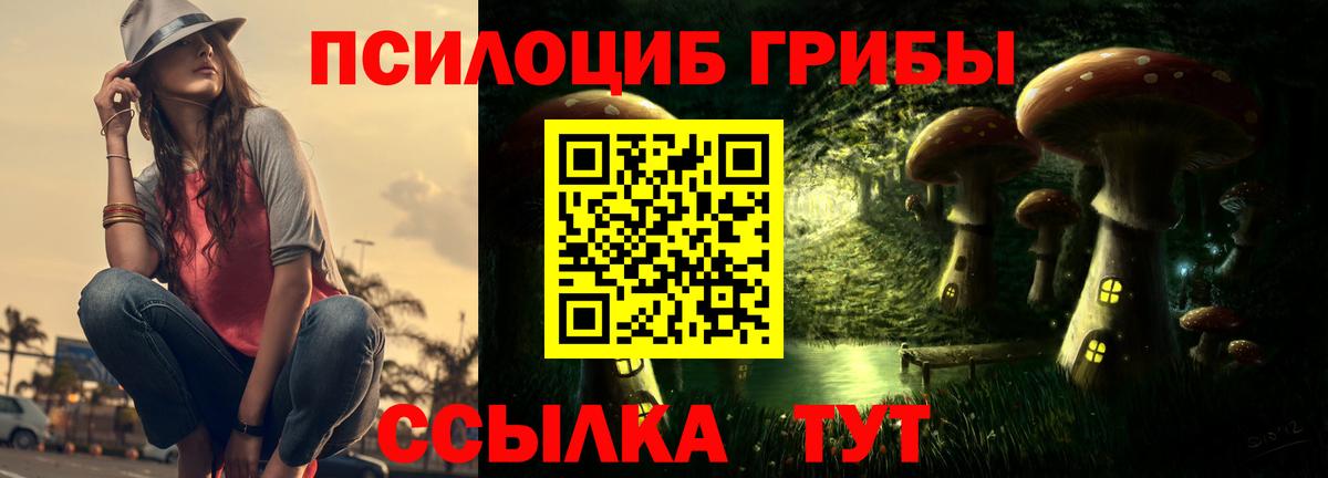 Краснознаменск  Псилоцибиновые грибы MAGIC MUSHROOMS  Вход с VPN 